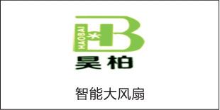 演示 Logo